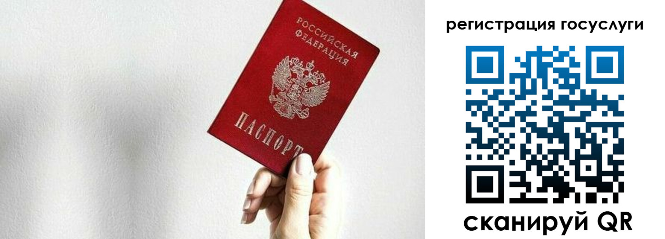 прописка гарантия в Алексеевке